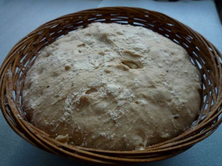 kyne cibulový